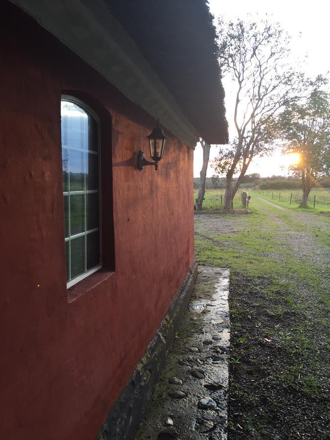 Alsbrogaard Bed & Breakfast Bramming ภายนอก รูปภาพ