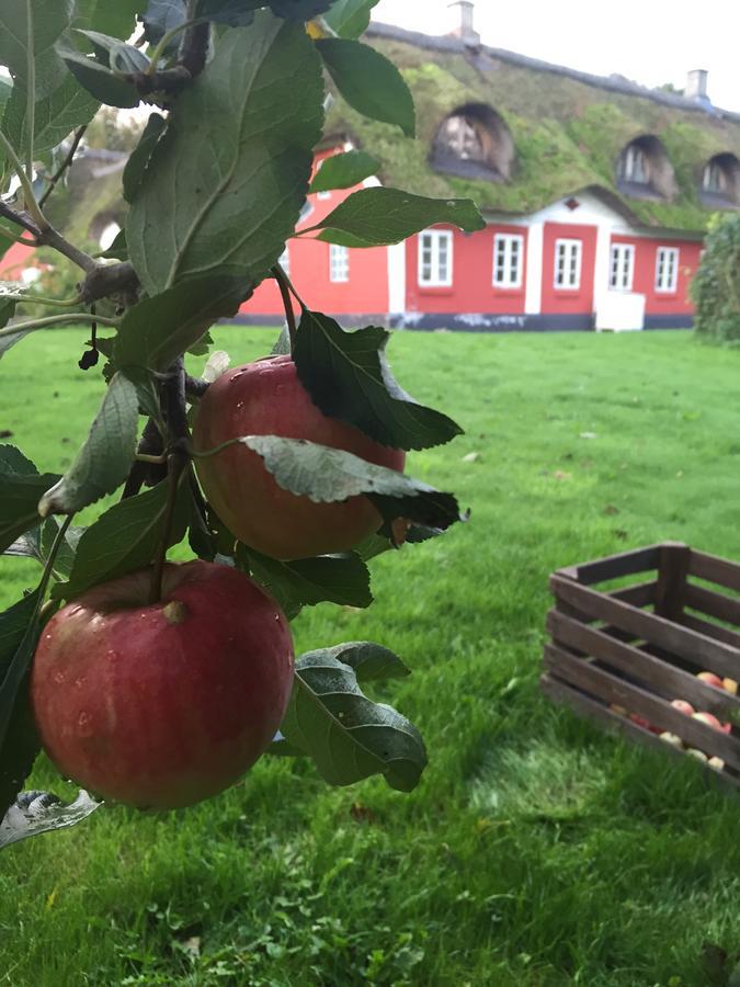 Alsbrogaard Bed & Breakfast Bramming ภายนอก รูปภาพ