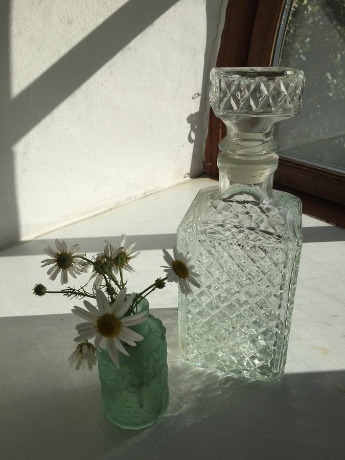Alsbrogaard Bed & Breakfast Bramming ภายนอก รูปภาพ